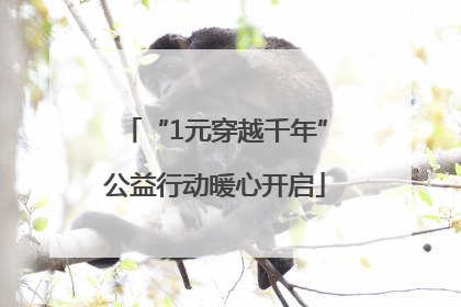 “1元穿越千年”公益行动暖心开启