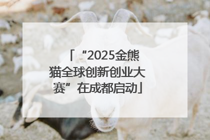 “2025金熊猫全球创新创业大赛”在成都启动