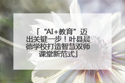 “AI+教育”迈出关键一步！叶县晨德学校打造智慧双师课堂新范式