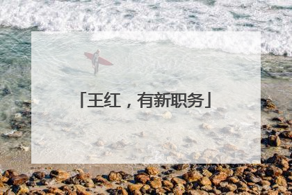 王红，有新职务