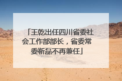 王乾出任四川省委社会工作部部长，省委常委靳磊不再兼任