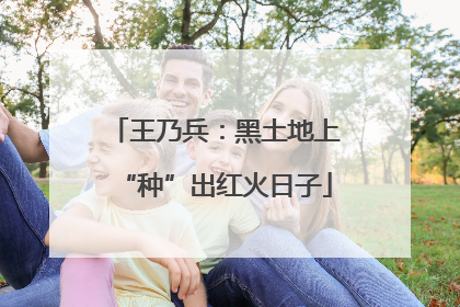 王乃兵：黑土地上“种”出红火日子