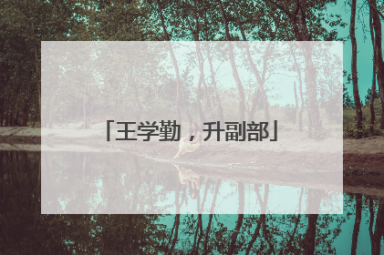 王学勤，升副部