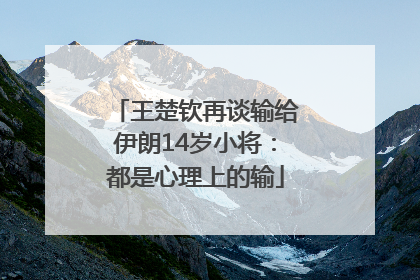 王楚钦再谈输给伊朗14岁小将：都是心理上的输