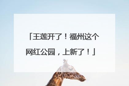 王莲开了！福州这个网红公园，上新了！