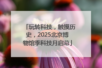玩转科技，触摸历史，2025北京博物馆季科技月启幕