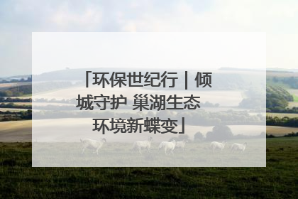 环保世纪行｜倾城守护 巢湖生态环境新蝶变