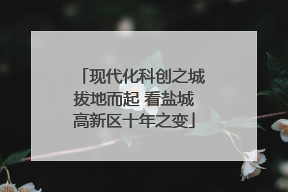 现代化科创之城拔地而起 看盐城高新区十年之变