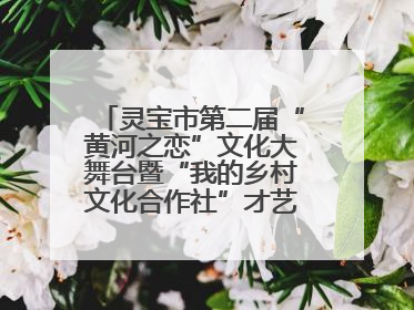 灵宝市第二届“黄河之恋”文化大舞台暨“我的乡村文化合作社”才艺大赛举办