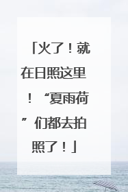火了！就在日照这里！“夏雨荷”们都去拍照了！