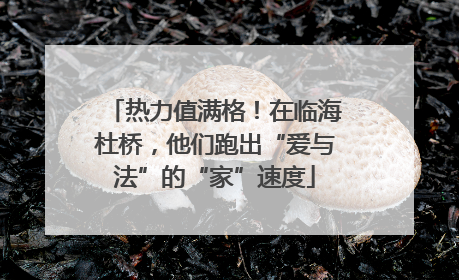 热力值满格！在临海杜桥，他们跑出“爱与法”的“家”速度