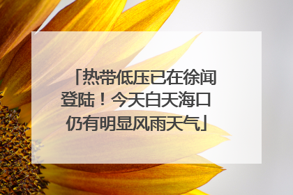 热带低压已在徐闻登陆！今天白天海口仍有明显风雨天气