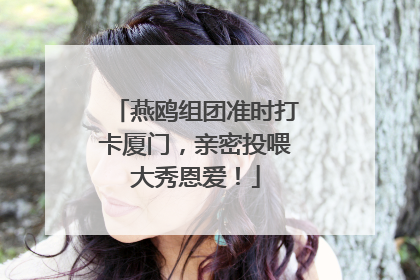 燕鸥组团准时打卡厦门，亲密投喂大秀恩爱！