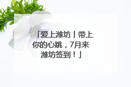 爱上潍坊丨带上你的心跳，7月来潍坊签到！