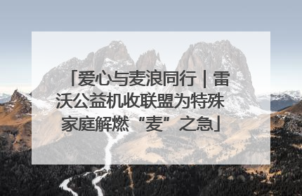 爱心与麦浪同行｜雷沃公益机收联盟为特殊家庭解燃“麦”之急