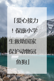 爱心接力！保康小学生救助国家保护动物冠鱼狗