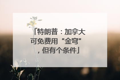 特朗普：加拿大可免费用“金穹”，但有个条件