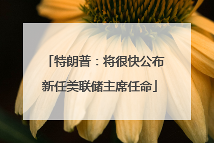 特朗普：将很快公布新任美联储主席任命