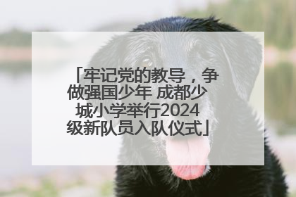 牢记党的教导，争做强国少年 成都少城小学举行2024级新队员入队仪式