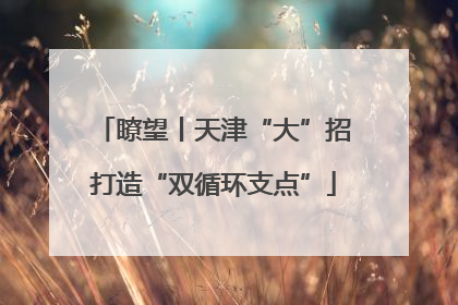 瞭望丨天津“大”招打造“双循环支点”