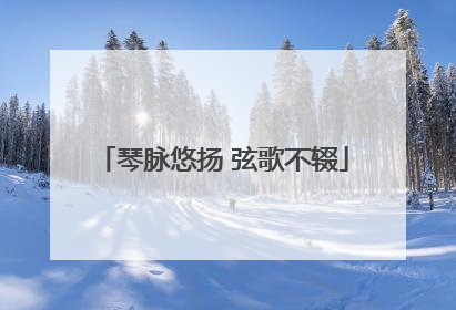 琴脉悠扬 弦歌不辍