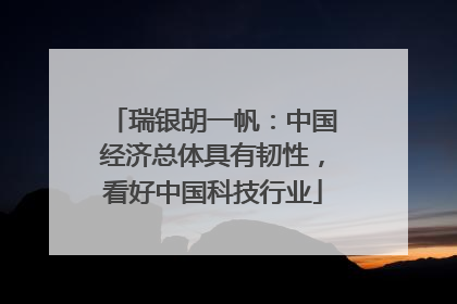 瑞银胡一帆：中国经济总体具有韧性，看好中国科技行业