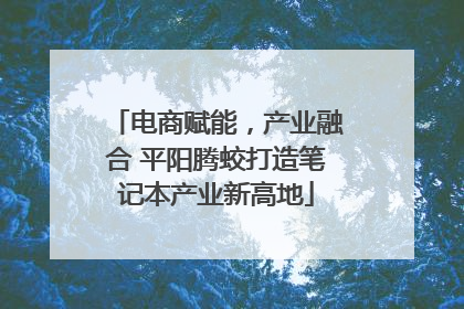 电商赋能，产业融合 平阳腾蛟打造笔记本产业新高地