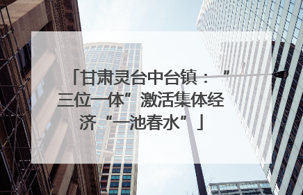 甘肃灵台中台镇：“三位一体”激活集体经济“一池春水”