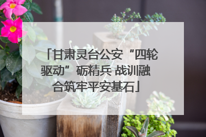 甘肃灵台公安“四轮驱动”砺精兵 战训融合筑牢平安基石