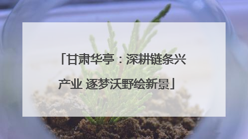甘肃华亭：深耕链条兴产业 逐梦沃野绘新景