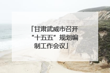 甘肃武威市召开“十五五”规划编制工作会议