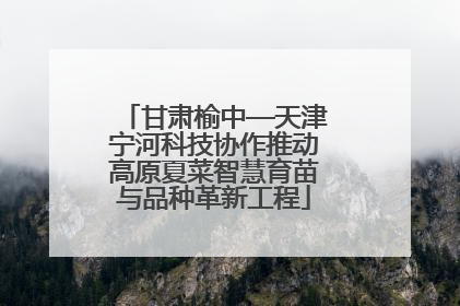 甘肃榆中—天津宁河科技协作推动高原夏菜智慧育苗与品种革新工程