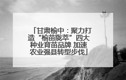 甘肃榆中：聚力打造“榆苗陇萃”四大种业育苗品牌 加速农业强县转型步伐