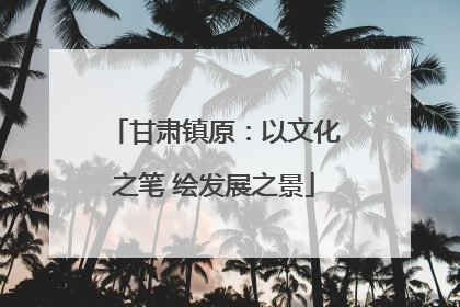 甘肃镇原：以文化之笔 绘发展之景