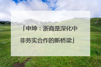 申坤：浙商是深化中非务实合作的新桥梁