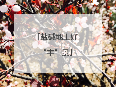 盐碱地上好“丰”景