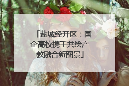 盐城经开区：国企高校携手共绘产教融合新图景