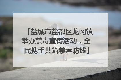 盐城市盐都区龙冈镇举办禁毒宣传活动，全民携手共筑禁毒防线