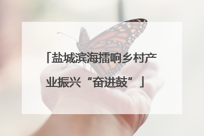 盐城滨海擂响乡村产业振兴“奋进鼓”