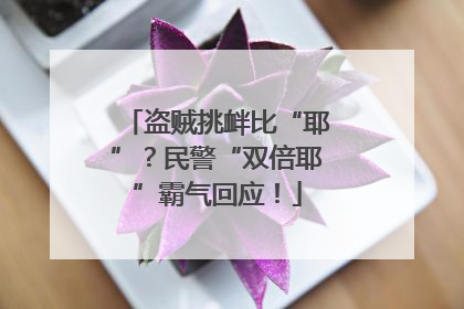 盗贼挑衅比“耶”？民警“双倍耶”霸气回应！