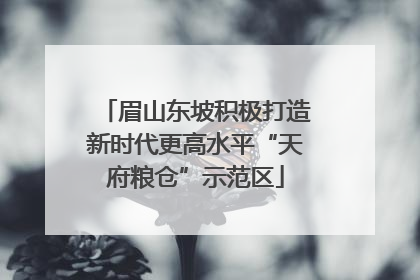 眉山东坡积极打造新时代更高水平“天府粮仓”示范区