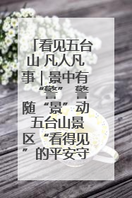 看见五台山 凡人凡事｜景中有“警” 警随“景”动 五台山景区“看得见”的平安守护