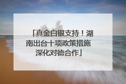 真金白银支持！湖南出台十项政策措施深化对德合作