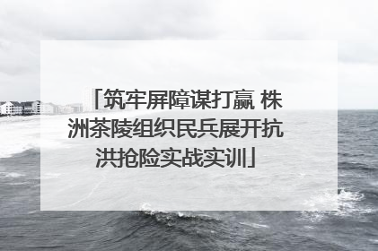 筑牢屏障谋打赢 株洲茶陵组织民兵展开抗洪抢险实战实训