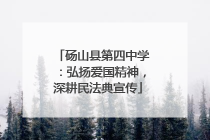 砀山县第四中学：弘扬爱国精神，深耕民法典宣传
