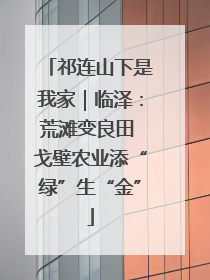 祁连山下是我家｜临泽：荒滩变良田 戈壁农业添“绿”生“金”