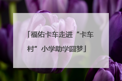 福佑卡车走进“卡车村”小学助学圆梦