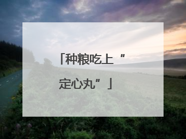 种粮吃上“定心丸”