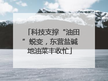 科技支撑“油田”蜕变，东营盐碱地油菜丰收忙