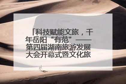 科技赋能文旅，千年岳阳“有范”——第四届湖南旅游发展大会开幕式暨文化旅游推介会侧记